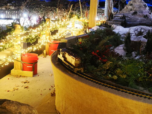 Tower Hill Botanic Garden Night Lights #16