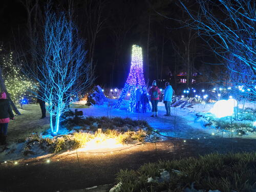 Tower Hill Botanic Garden Night Lights #17