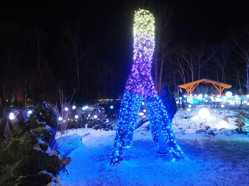 Tower Hill Botanic Garden Night Lights #19