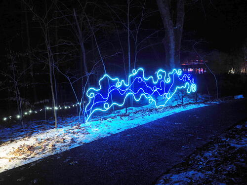 Tower Hill Botanic Garden Night Lights #21