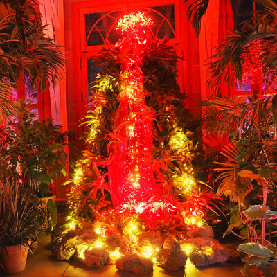 Tower Hill Botanic Garden Night Lights #24