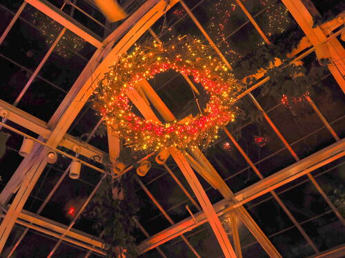 Tower Hill Botanic Garden Night Lights #25