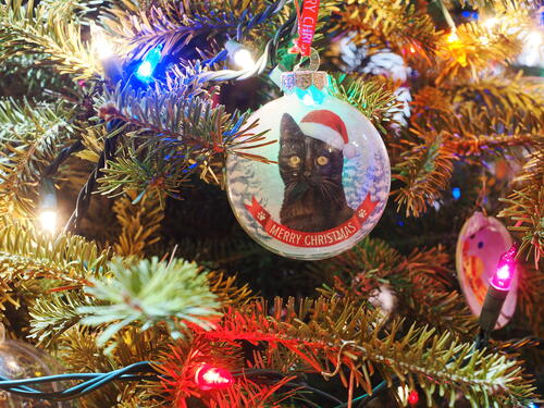 Black cat ornament
