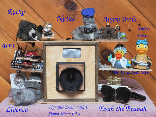 My steampunk camera at Watch City