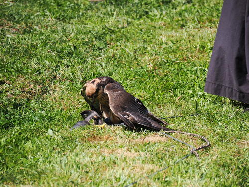 Mine, mine, it's all mine