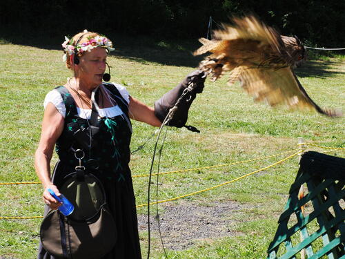 Up, up, and away! #2