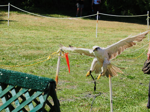 Coming in for a landing #2