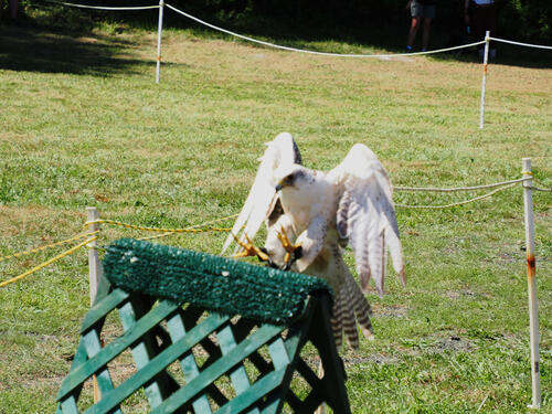 Coming in for a landing #3