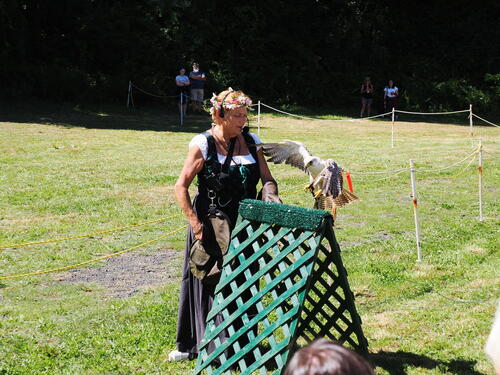 Coming in for a landing #5