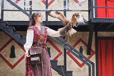 Birds of prey show #3