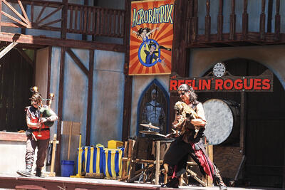 Bring your dog to work day