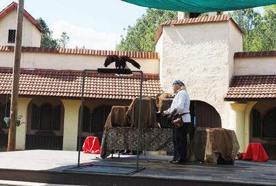 Birds of Prey show