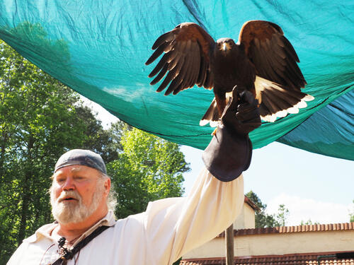Birds of Prey show #4