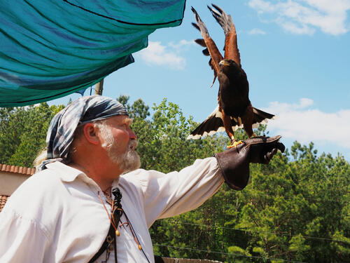 Got to stretch my wings