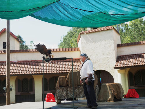 Coming in for a landing