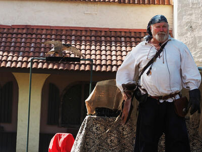 Birds of Prey show #6