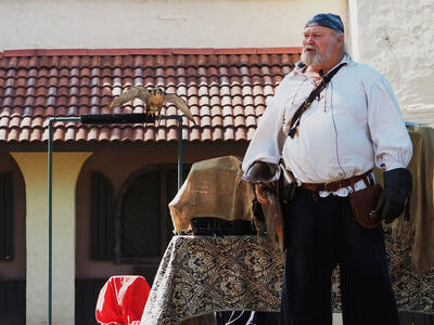 Birds of Prey show #7