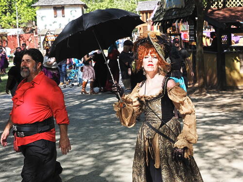 A study in gold and black