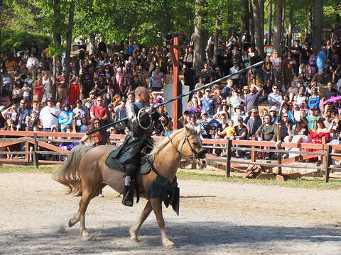 Joust #7