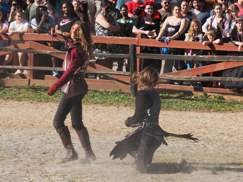 Hand to hand combat #3