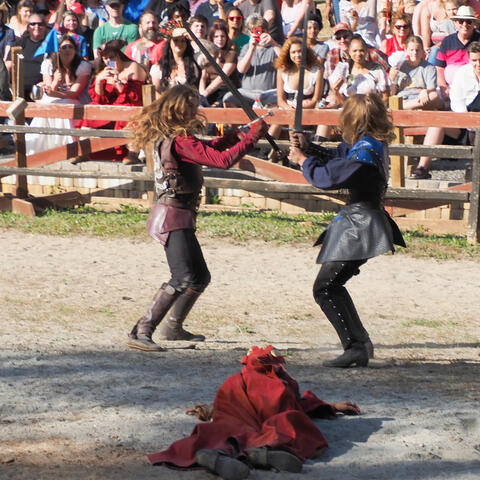 Hand to hand combat #6