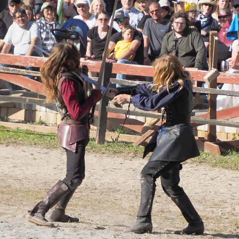 Hand to hand combat #7