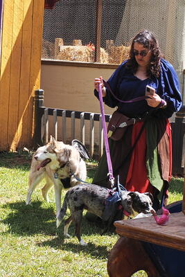 Service dogs with wings