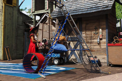 The Puppies of Penzance