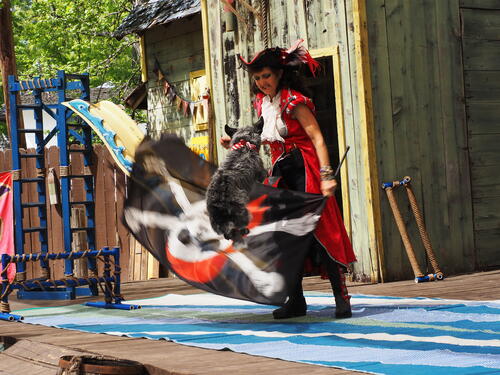 The Puppies of Penzance #2