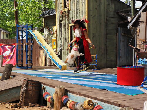 The Puppies of Penzance #9