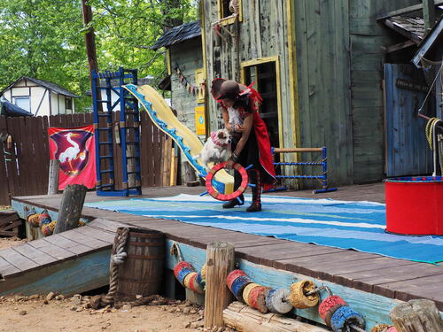 The Puppies of Penzance #10