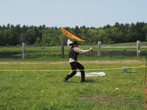 Sir Timothy the Enchanter #8