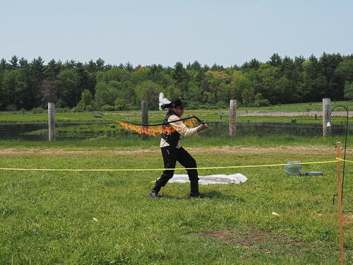 Sir Timothy the Enchanter #9