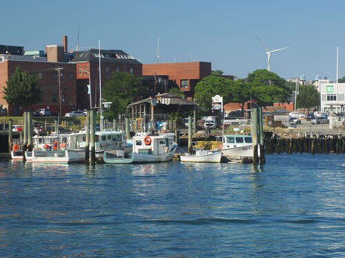 Gloucester harbor