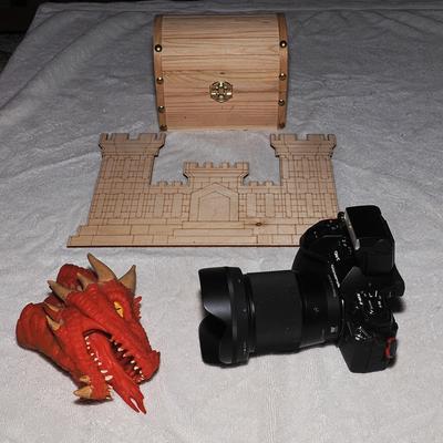 Dragon camera