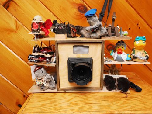 Steampunk camera