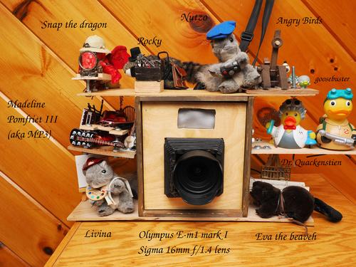 Steampunk camera
