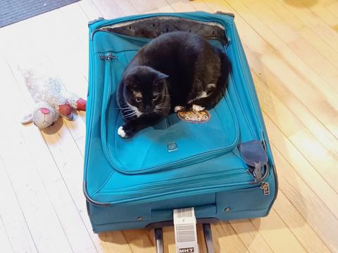 No vacations without me #2