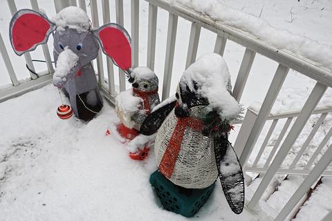 Elephant and penguins in winter