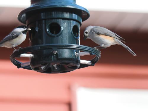 Doing lunch together