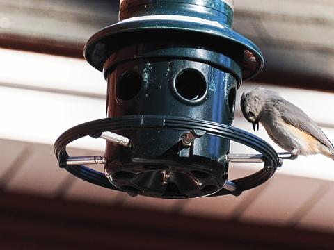 I have interesting feet