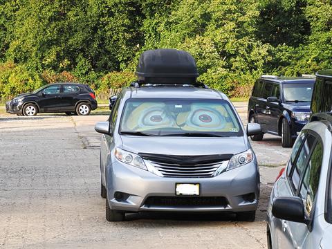 Minion sun protector