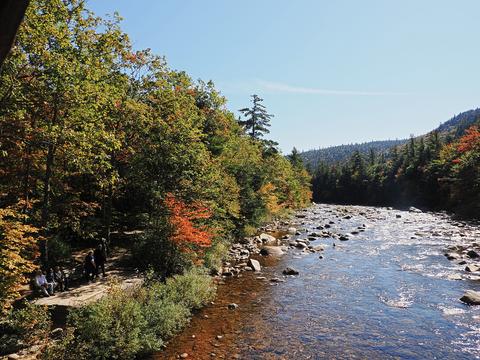 Fall on the Swift river #2