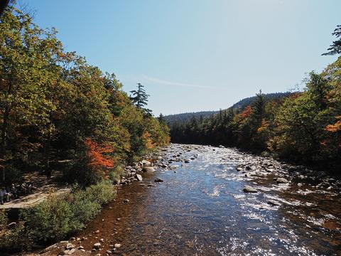 Fall on the Swift river #3