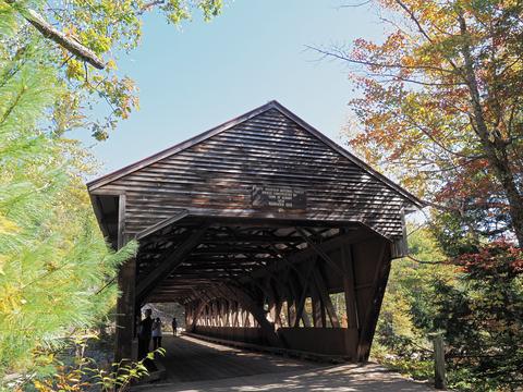 Albany covered bridge #2