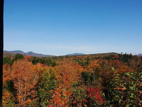 Fall leaves on the Kancamagus highway #10