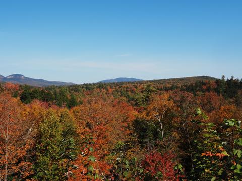 Fall leaves on the Kancamagus highway #11