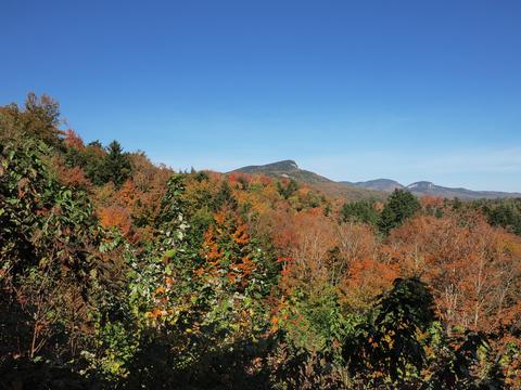Fall leaves on the Kancamagus highway #12