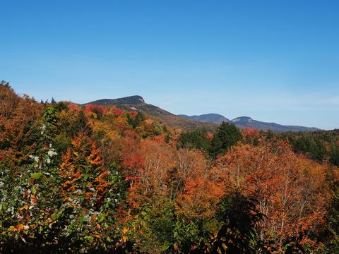 Fall leaves on the Kancamagus highway #13