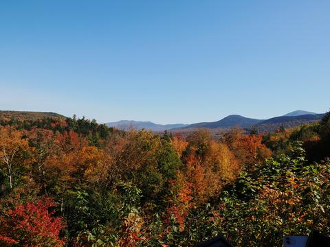Fall leaves on the Kancamagus highway #14